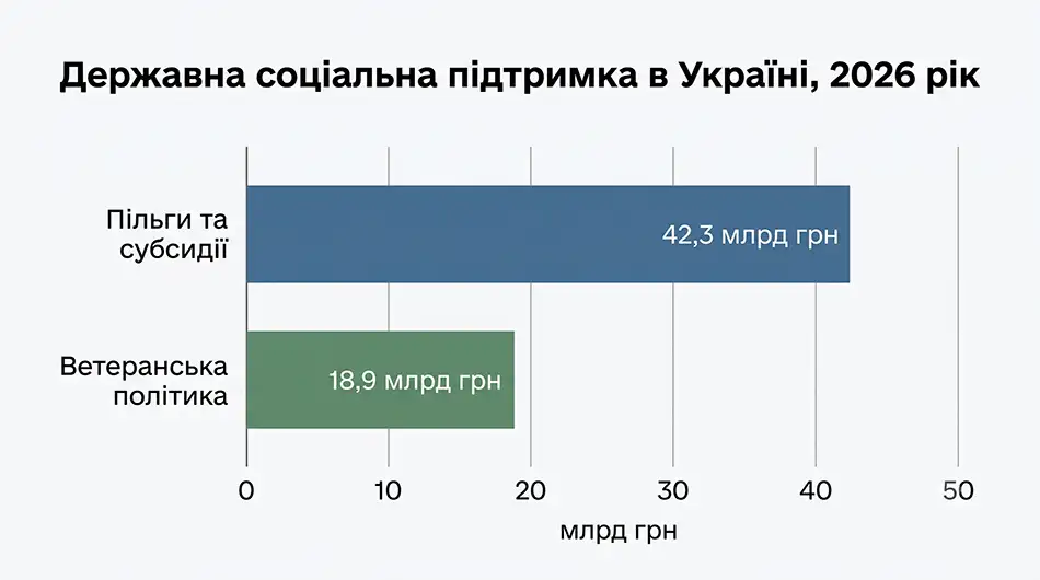 Інфографіка про державну соціальну підтримку в Україні у 2026 році