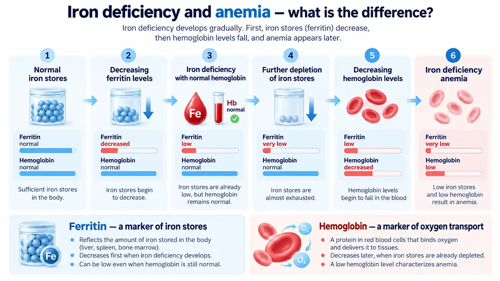 Iron Deficiency and Anemia - What is the Difference