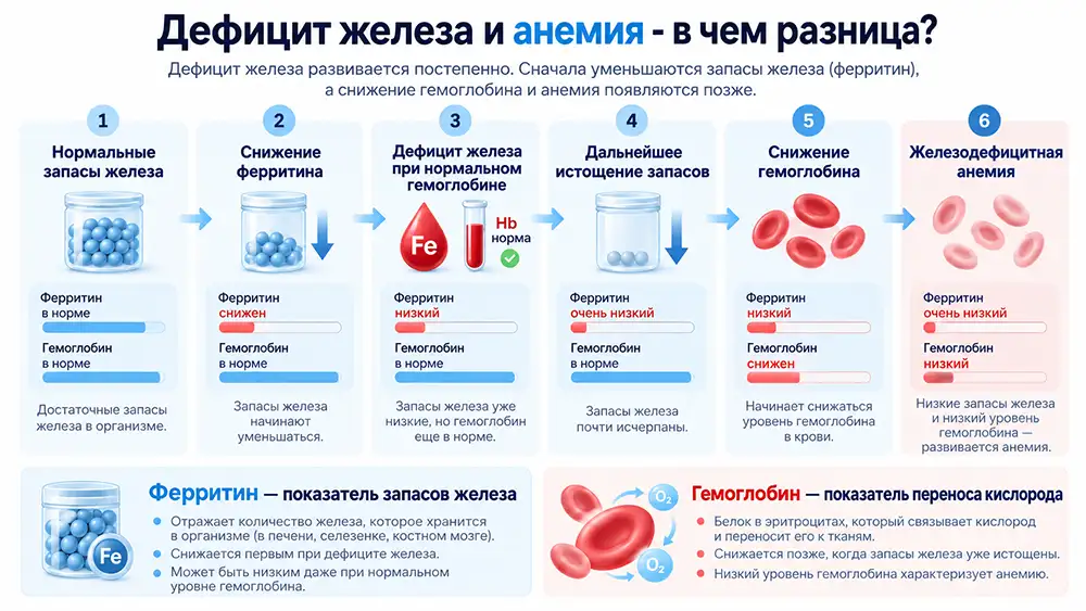 Дефицит железа и анемия - в чем разница