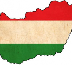 Офшорна компанія “Network Feverc Hungary Kft” – Угорщина